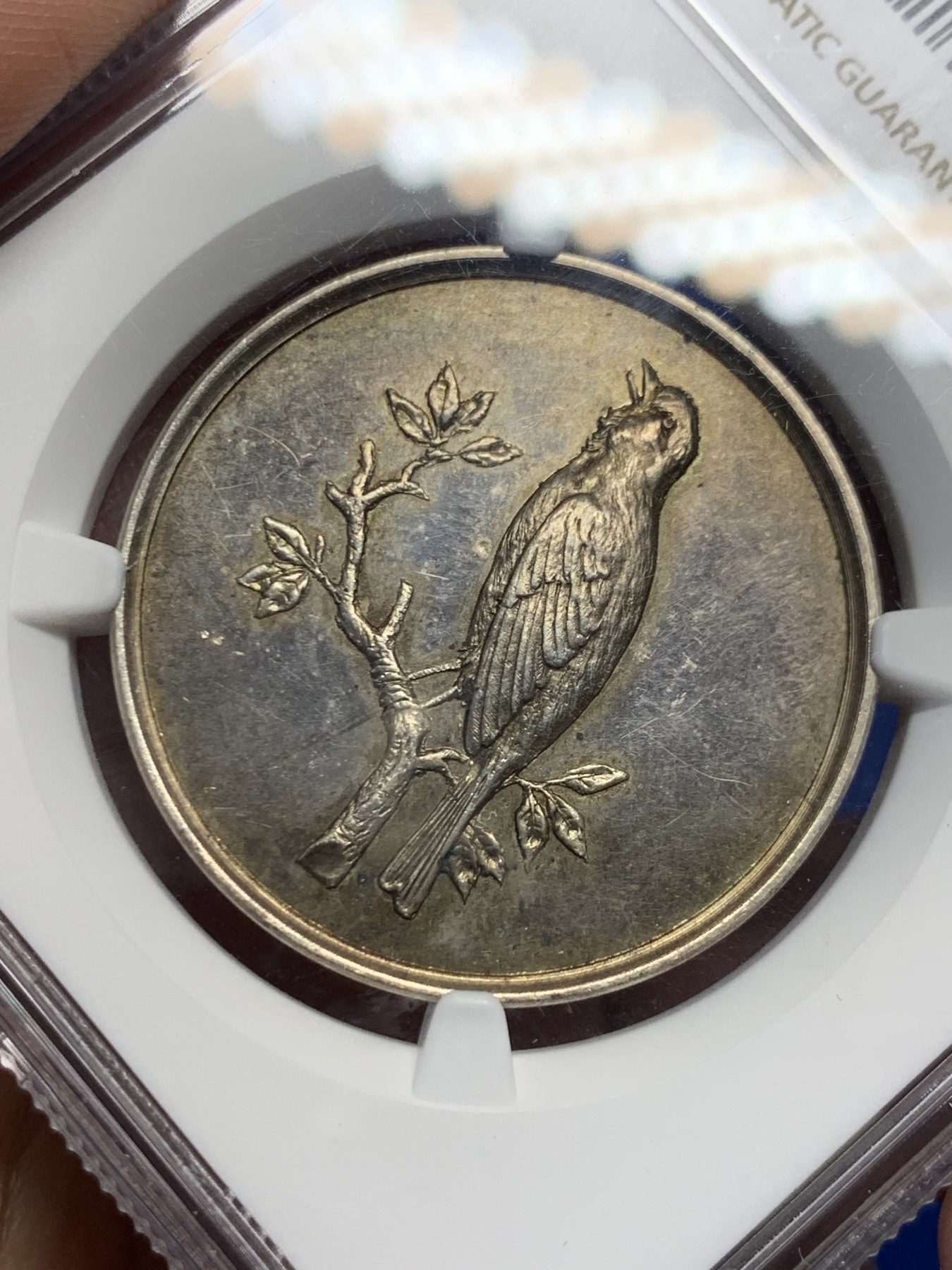 《竞宝斋》第262场-周日，周一，周二 3场连拍 (全场包邮) NGC-MS62 德国鸟类协会银章