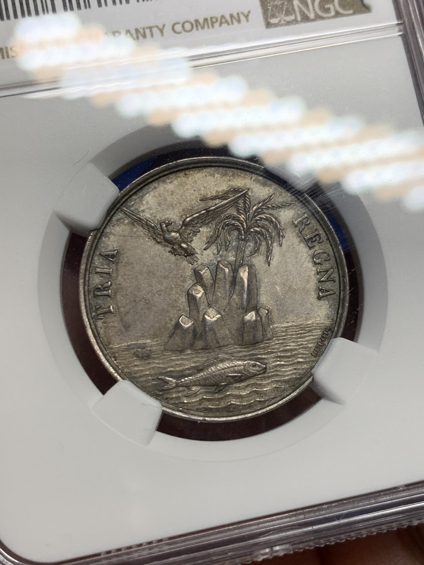 《竞宝斋》第262场-周日，周一，周二 3场连拍 (全场包邮)