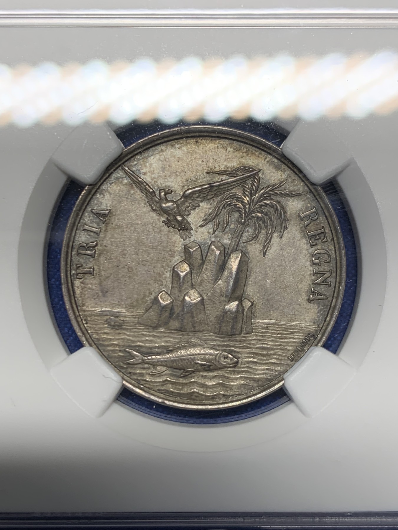 《竞宝斋》第262场-周日，周一，周二 3场连拍 (全场包邮)