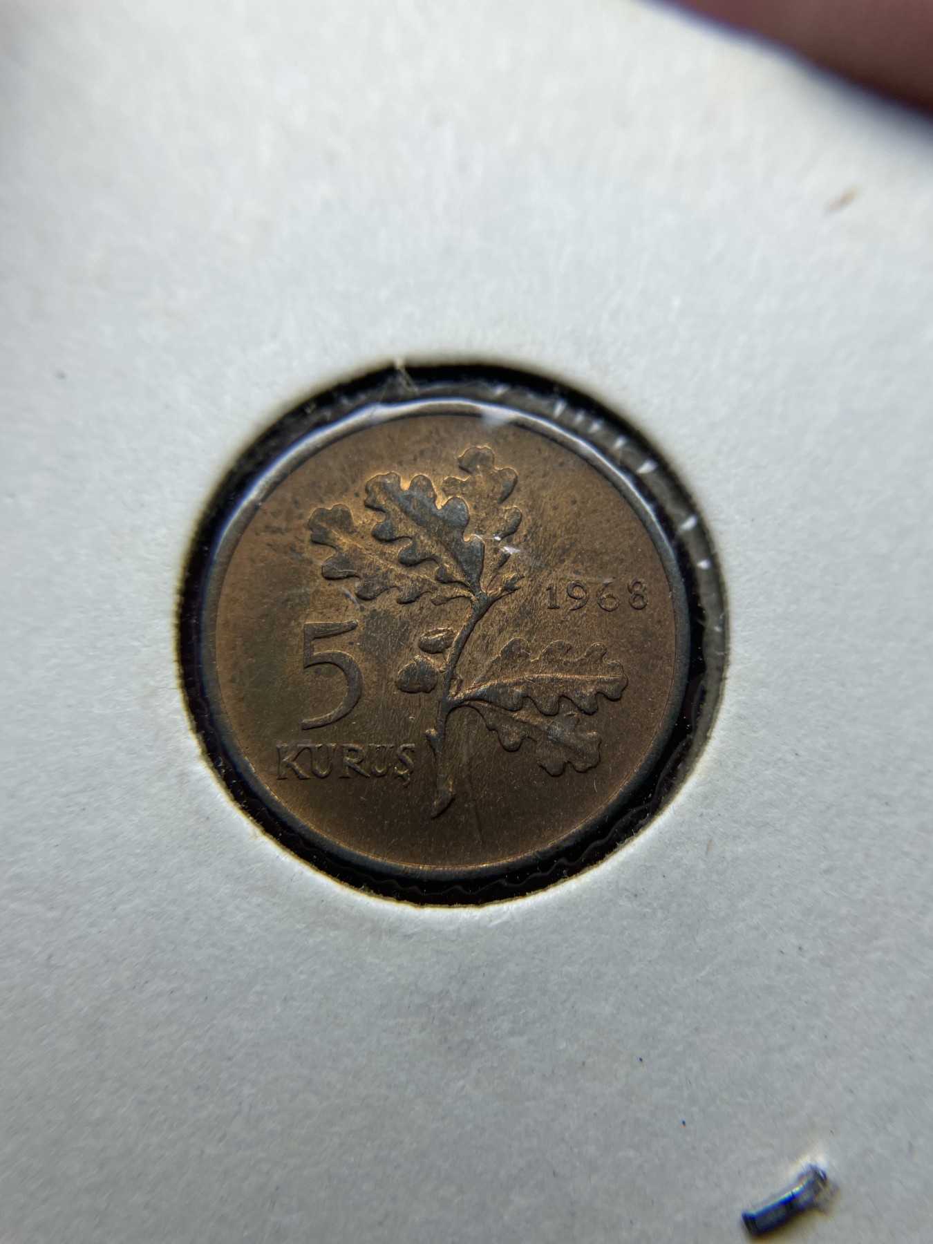 2024年集古藏今外币拍卖第五期-第5场—（总第45拍） 1968年土耳其5库鲁