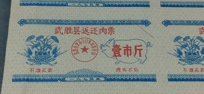 票证拍场    都是整版或者联票 🔥🔥武胜县返还肉票，整版，壹市斤，1973年发行，10联张