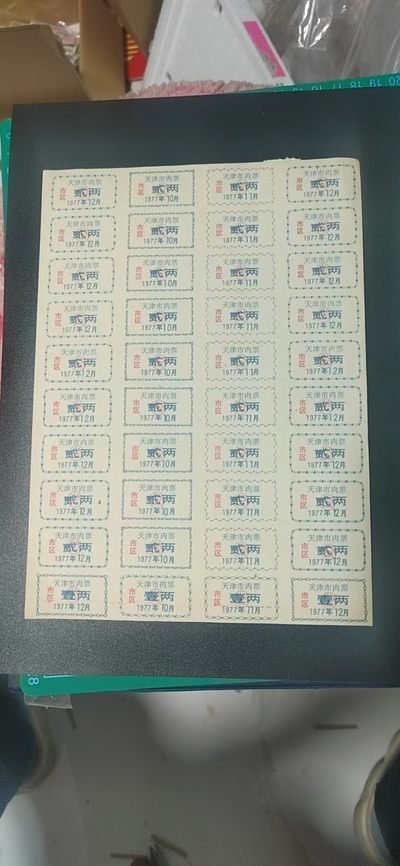 整版票证拍场！ - 🔥🔥天津市肉票，整版，贰两 ，市区版，1977年发行，50联张