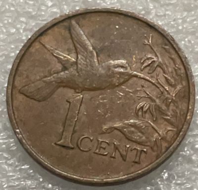 文馨钱币收藏119场，中外古币，版本明细分好了（单场拍五件以上送随机硬币两枚） - 多巴哥 1 分铜币，蜂鸟
