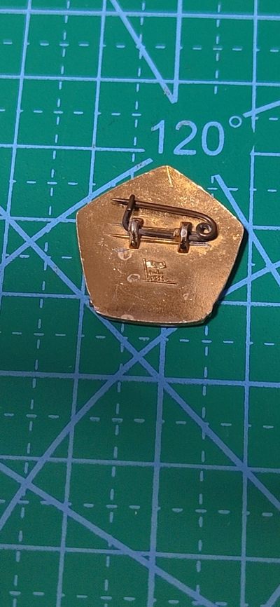 毛主席像章、徽章拍场，都是精品小章 盾形🔥🔥🔥🔥毛主席像章，非常少见的版别，可佩戴