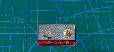 毛主席像章、徽章拍场，都是极美品 - 🔥🔥万物生长靠太阳🔥🔥毛主席像章，可佩戴