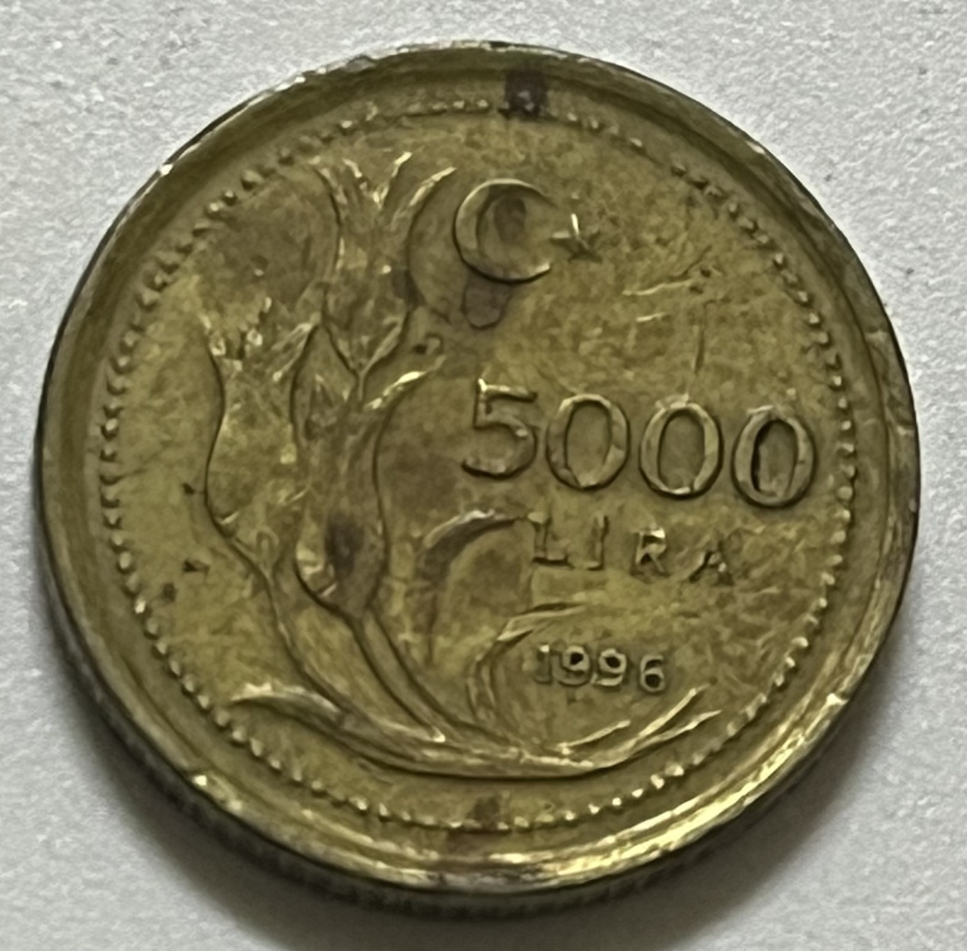 神仙姐姐散币好品专场第三十六期（无佣金满邮自动发出 1996年 土耳其5000里拉