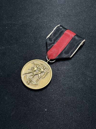 戎马世界章牌大赏第67期 - 德国合并苏台德奖章 背有别针，可以佩戴