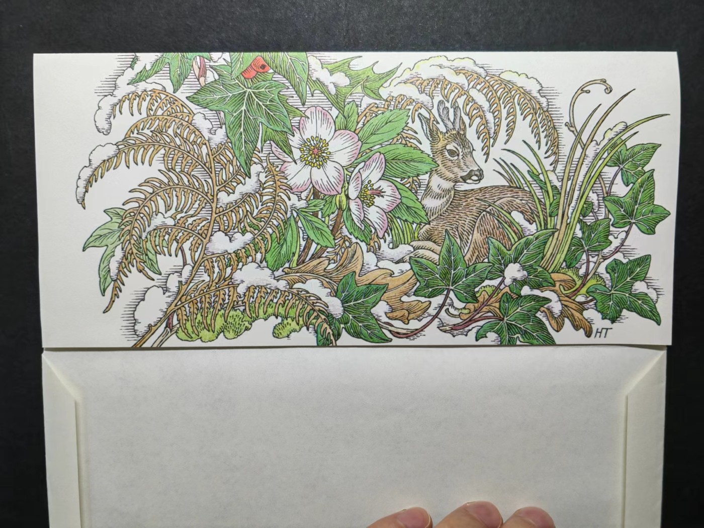 多国邮品✌（拍卖专场）精品🔥专场 第63场 英国皇家邮政航空邮简（圣诞祝福）