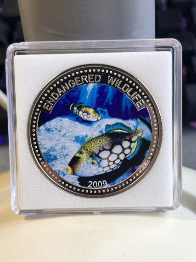 【海寕潮】拍卖第107期【五一快乐场】 - 【海寧潮】帕劳2009年海洋生物豹斑鱼彩色纪念币