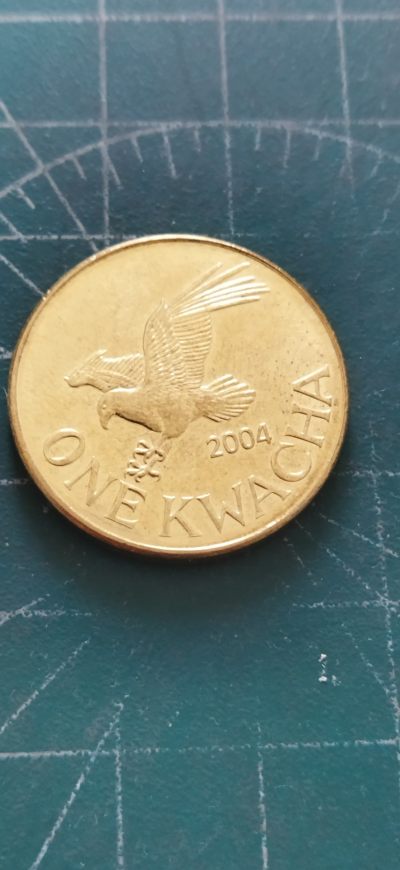 外国硬币初藏2024年第11场 -  马拉维1克瓦查铜币2004年未用。