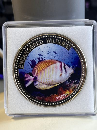 【海寕潮】拍卖第107期【五一快乐场】 - 【海寧潮】帕劳2009年海洋生物鱼类彩色纪念币