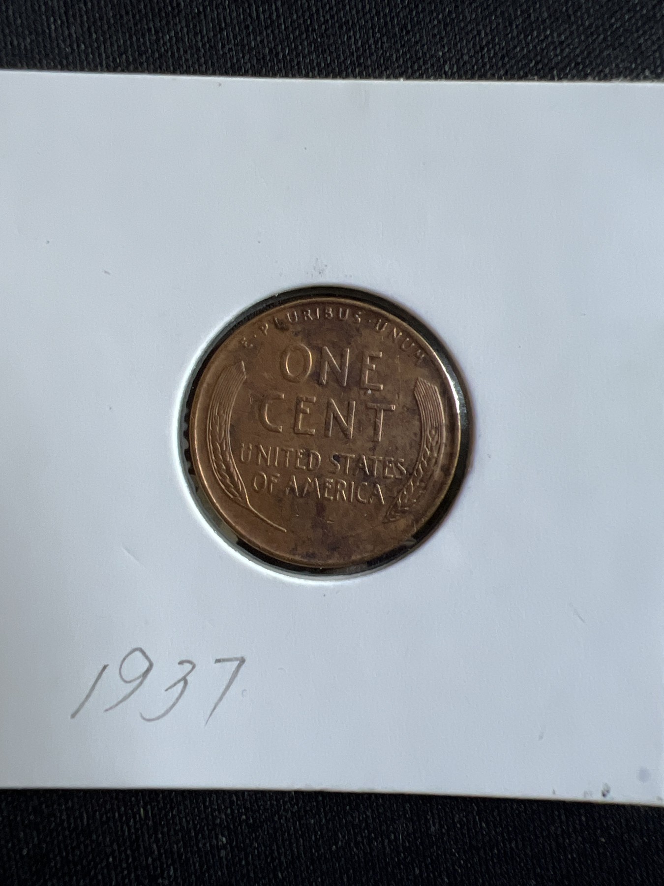 第586期 硬币专场 （无押金，捡漏，全场50包邮，偏远地区除外，接收代拍业务） 美一分