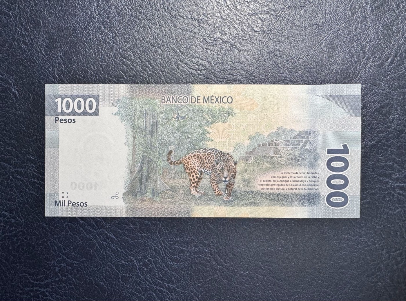 收藏联盟Quantum Auction 第341期拍卖  墨西哥2019年1000比索 品相全新UNC AA首发冠 墨西哥第三十三总统马克罗