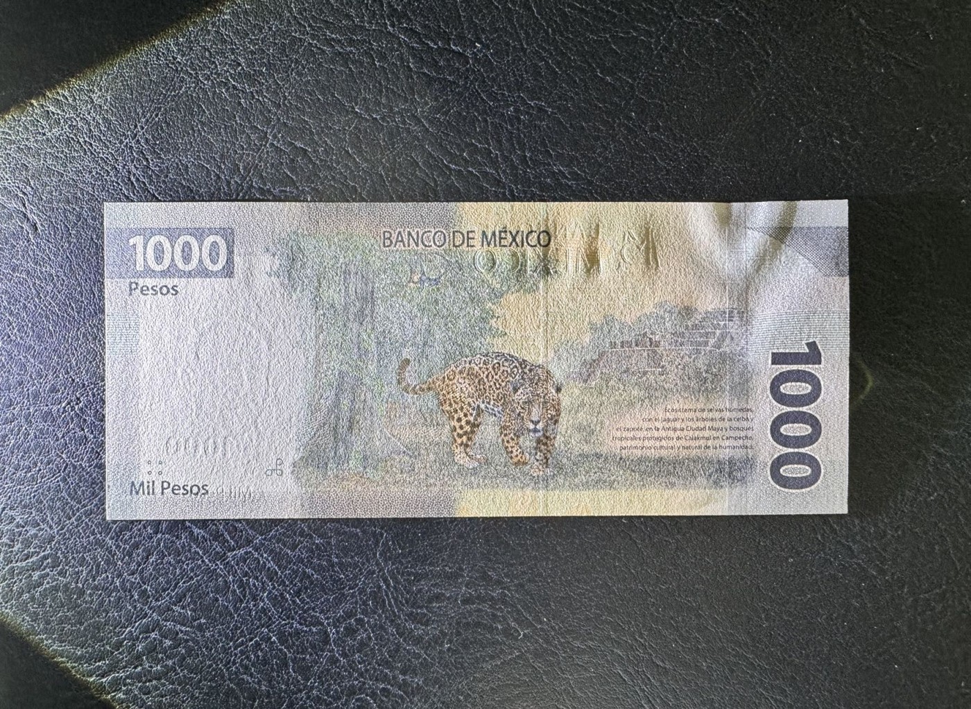 收藏联盟Quantum Auction 第341期拍卖  墨西哥2019年1000比索 品相全新UNC AA首发冠 墨西哥第三十三总统马克罗