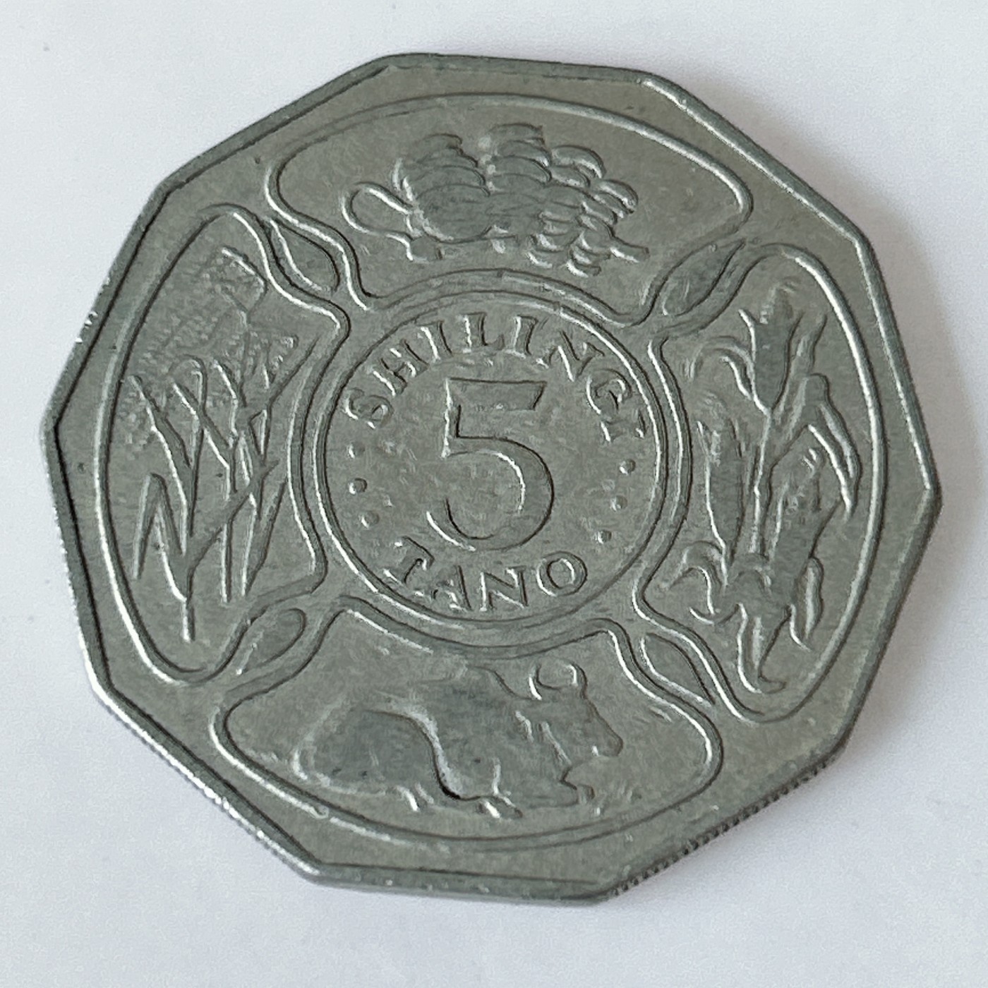 海外回流1元起拍小铺 各国钱币散币场 第11期 坦桑尼亚1972年5先令