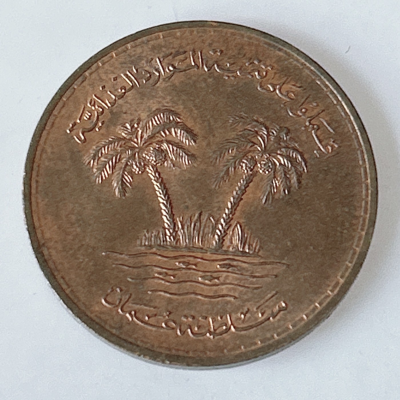 海外回流1元起拍小铺 各国钱币散币场 第11期 阿曼1975年世界粮农组织FAO纪念币椰树10派沙铜币