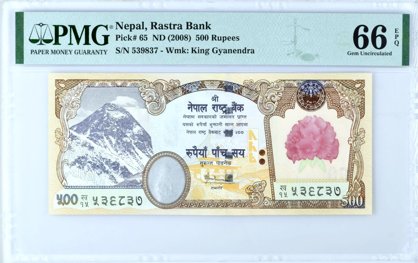 【Blue Auction】✨世界纸币精拍第468期【精】 【红花版】尼泊尔 2008年500卢比 猛虎 PMG66EPQ 