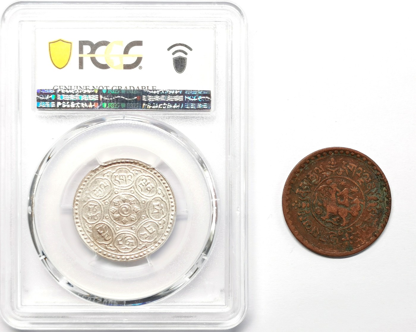 凡希社世界钱币微拍第二百六十七期 中国西藏阿果与雪松一对