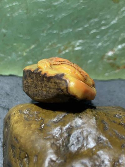 精美亚光原皮战国红玛瑙手工俏色巧雕灵猴吊坠一个 精美亚光原皮战国红玛瑙手工俏色巧雕灵猴吊坠一个