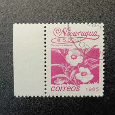 ↓君缘收藏77期☞钱币邮品↓无佣金、可寄存、满10元包邮  - 尼加拉瓜邮票，1983年 当地的花卉 邮票