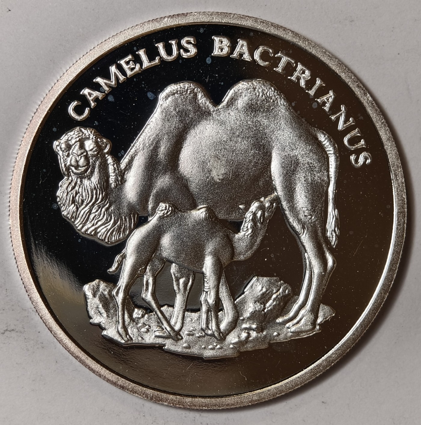 紫瑗钱币——第344期拍卖 联合国 1986年 WWF野生基金会30周年 双峰骆驼 纪念章 20克 0.999银 精制