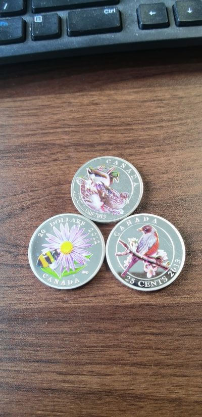 【海寕潮】拍卖第107期【五一快乐场】 - 【海寕潮】加拿大假币3枚。作为对比和学习用品