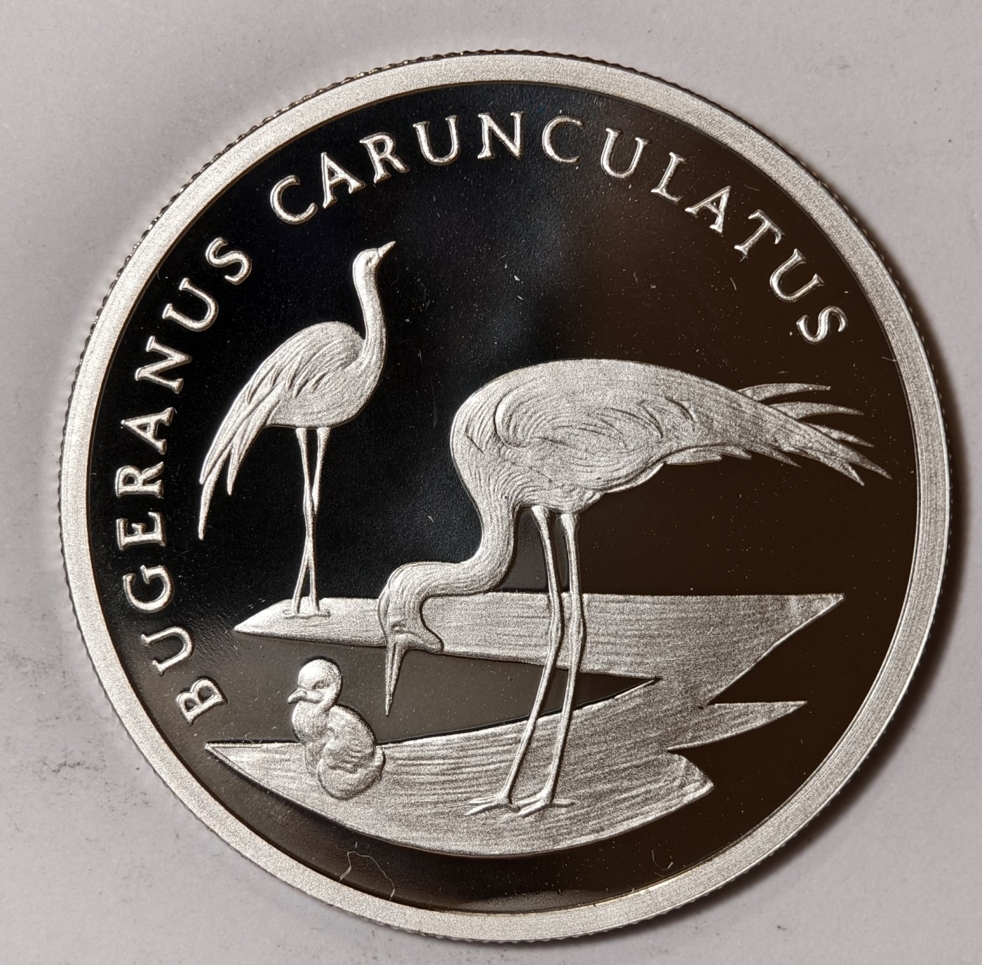 紫瑗钱币——第344期拍卖 联合国 1986年 WWF野生基金会30周年 肉垂鹤 纪念章 20克 0.999银 精制