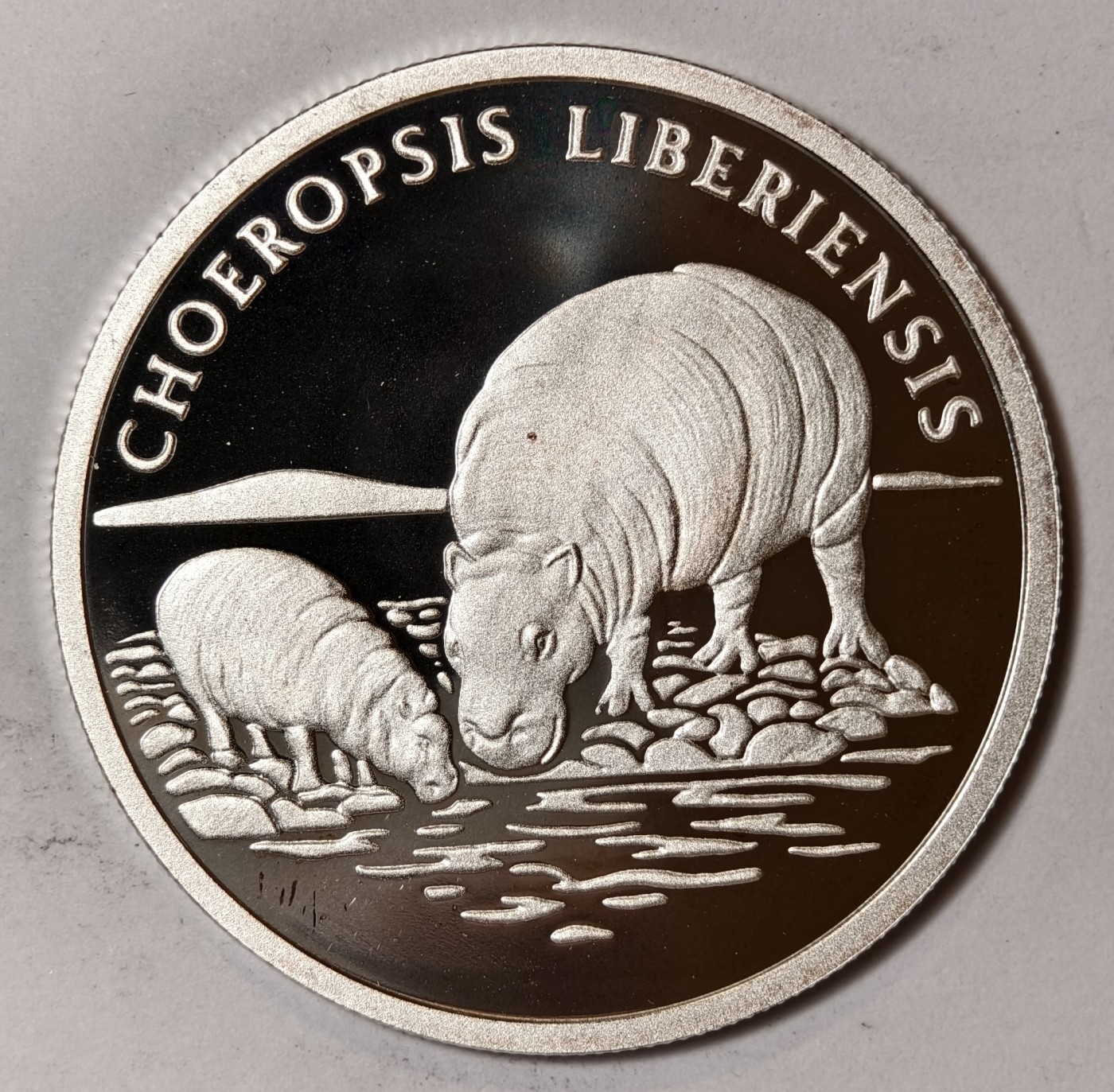 紫瑗钱币——第344期拍卖 联合国 1986年 WWF野生基金会30周年 侏儒河马 纪念章 20克 0.999银 精制