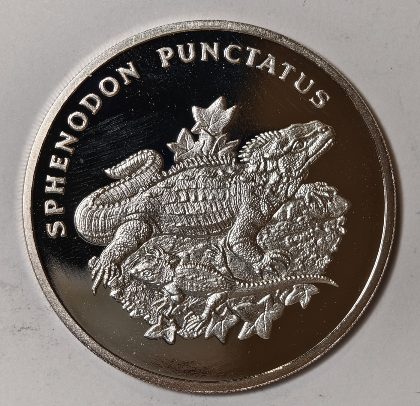 紫瑗钱币——第344期拍卖 联合国 1986年 WWF野生基金会30周年 喙头蜥 纪念章 20克 0.999银 精制