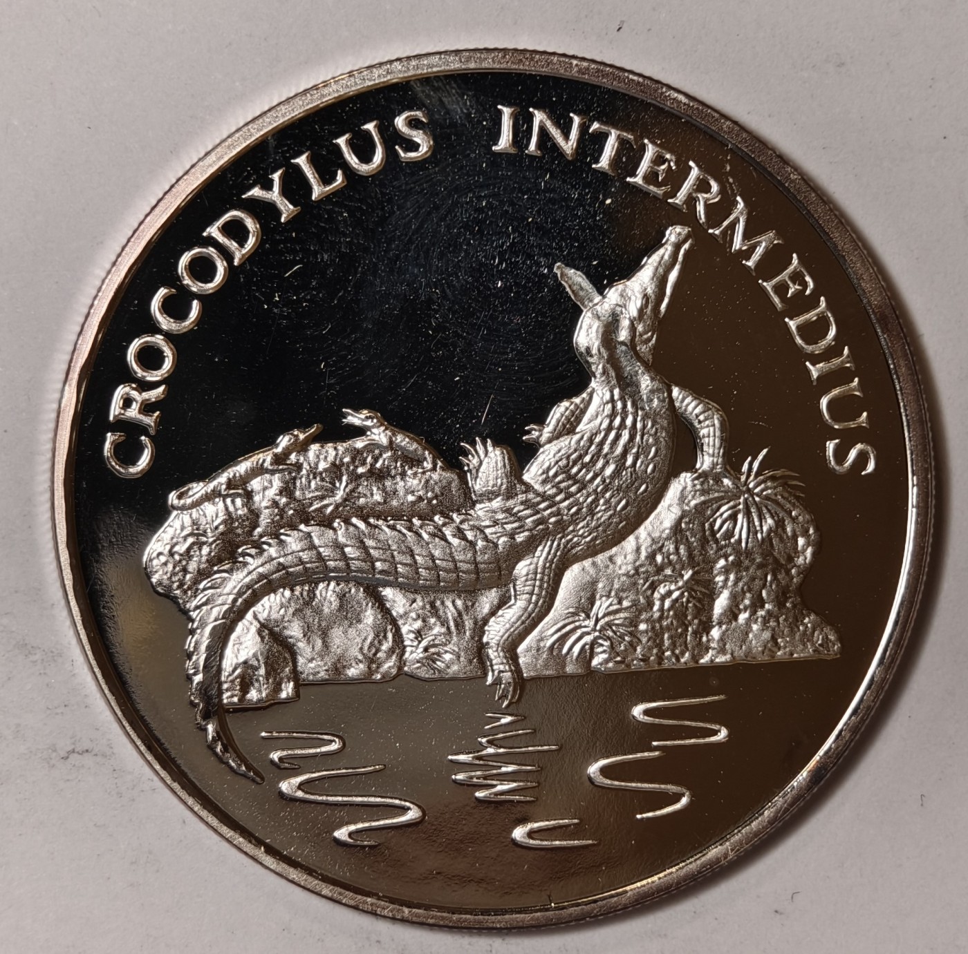 紫瑗钱币——第344期拍卖 联合国 1986年 WWF野生基金会30周年 奥利诺科鳄 纪念章 20克 0.999银 精制