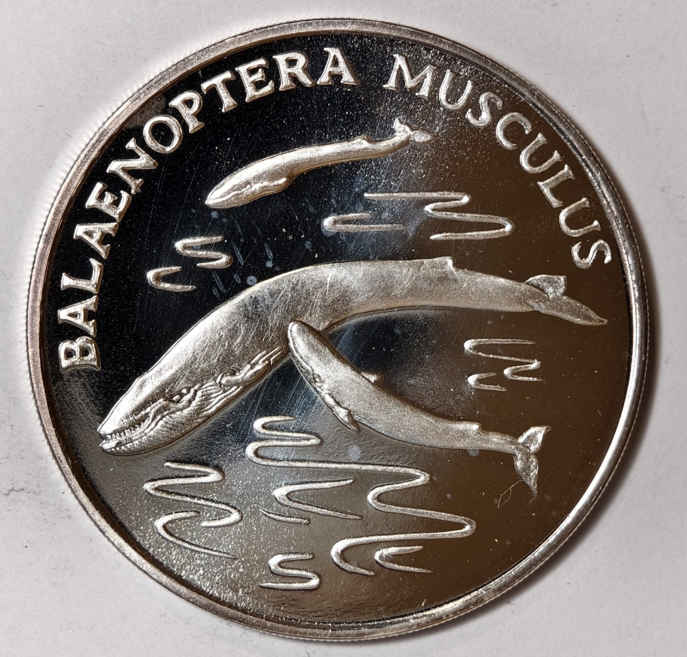 紫瑗钱币——第344期拍卖 联合国 1986年 WWF野生基金会30周年 蓝鲸 纪念章 20克 0.999银 精制