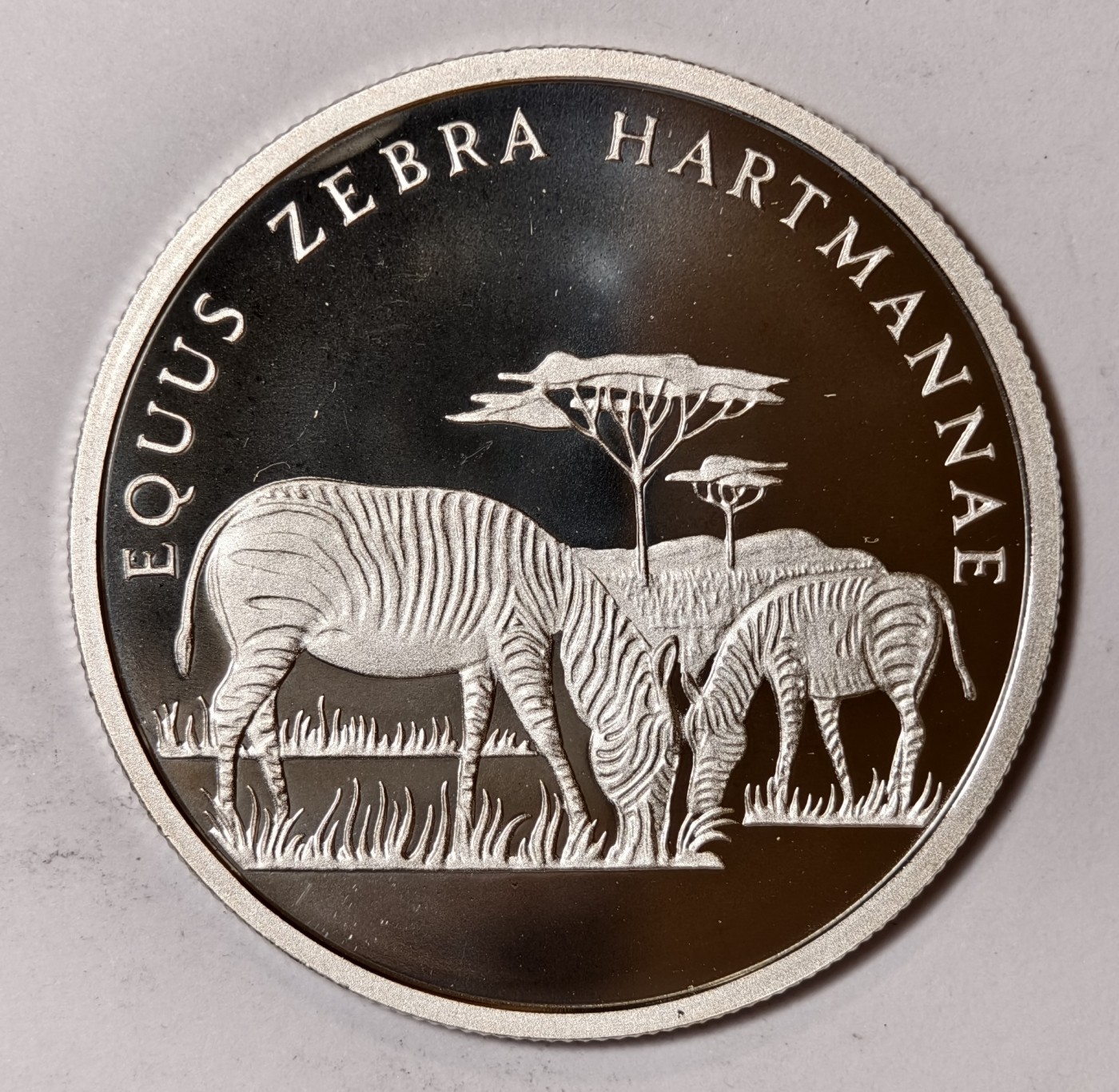 紫瑗钱币——第344期拍卖 联合国 1986年 WWF野生基金会30周年 哈特曼山斑马 纪念章 20克 0.999银 精制