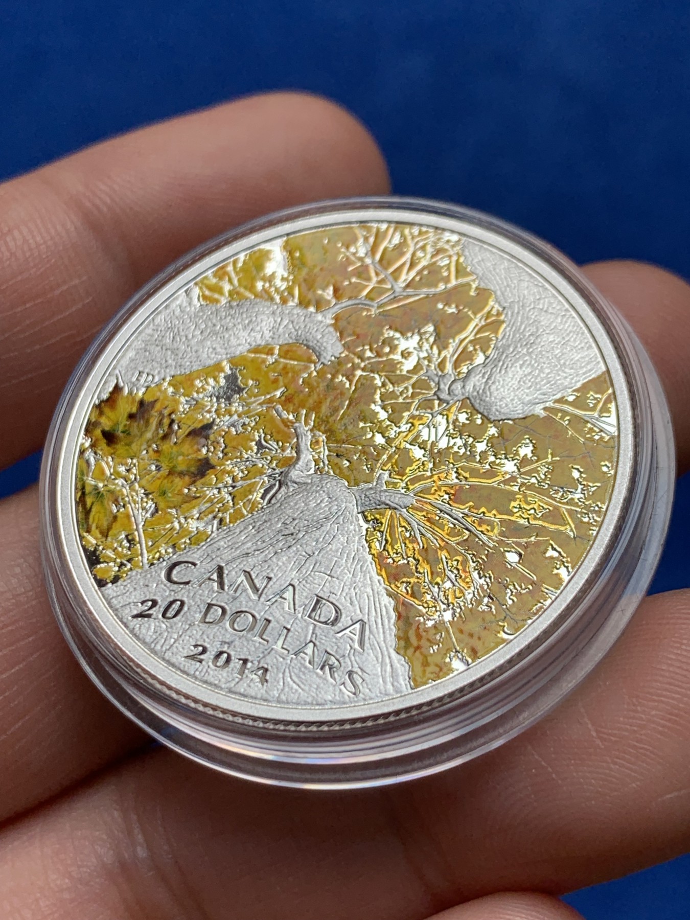 《竞宝斋》第263场-周日，周一 2场连拍 (全场包邮) 加拿大2014年发行的枫叶树冠系列4秋叶倾城彩银币-20加元（克劳斯获奖币-2016年最佳克朗币，裸币市价1200+） 1盎司999银 38mm 礼盒装