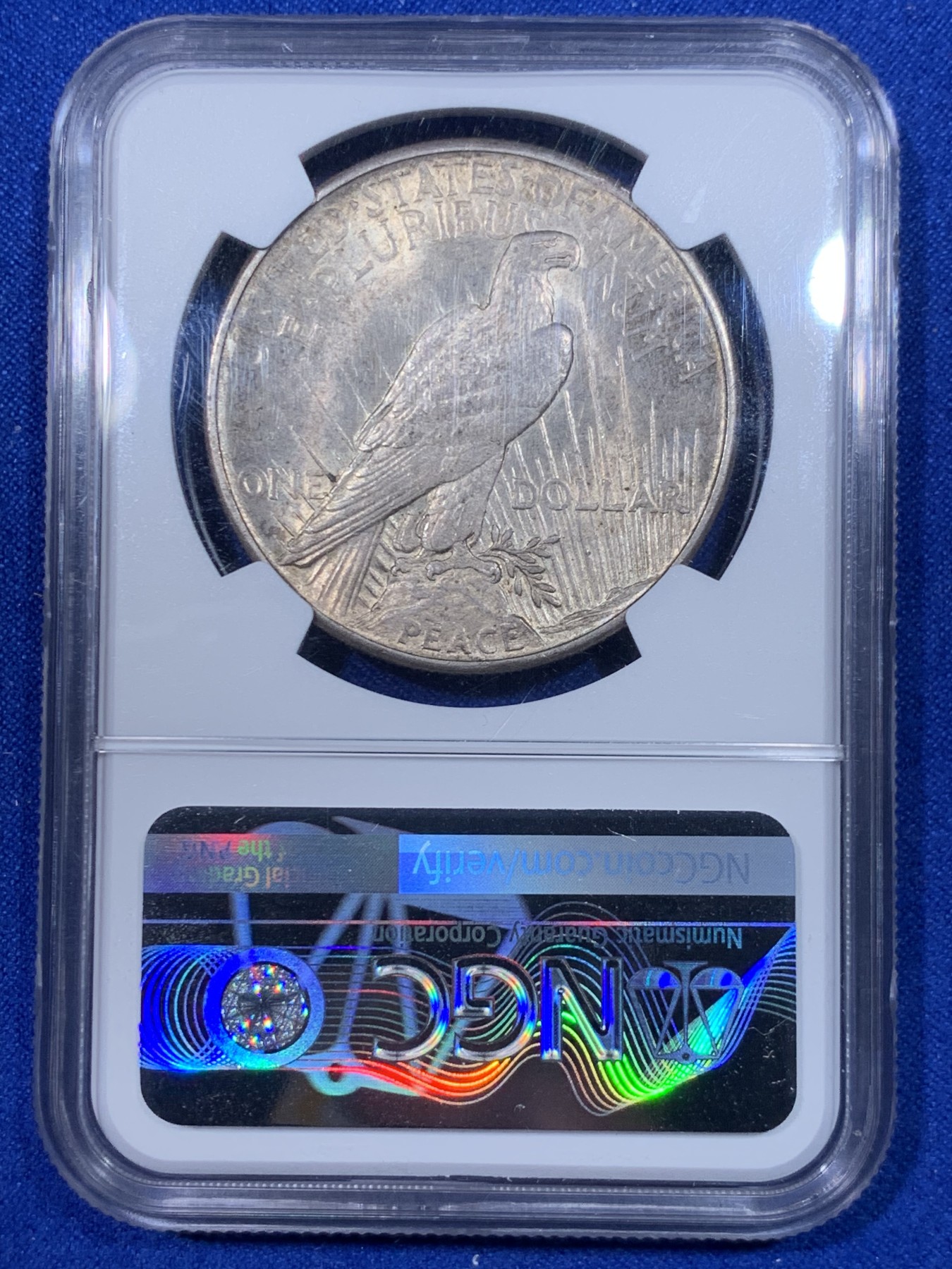《竞宝斋》第263场-周日，周一 2场连拍 (全场包邮) NGC MS62 美国 1921年 和平鸽银币 首年高浮雕 和平币中的大名誉品 1921年12月28日投产 总共生产100万枚 美系流通币中铸币量算很少了