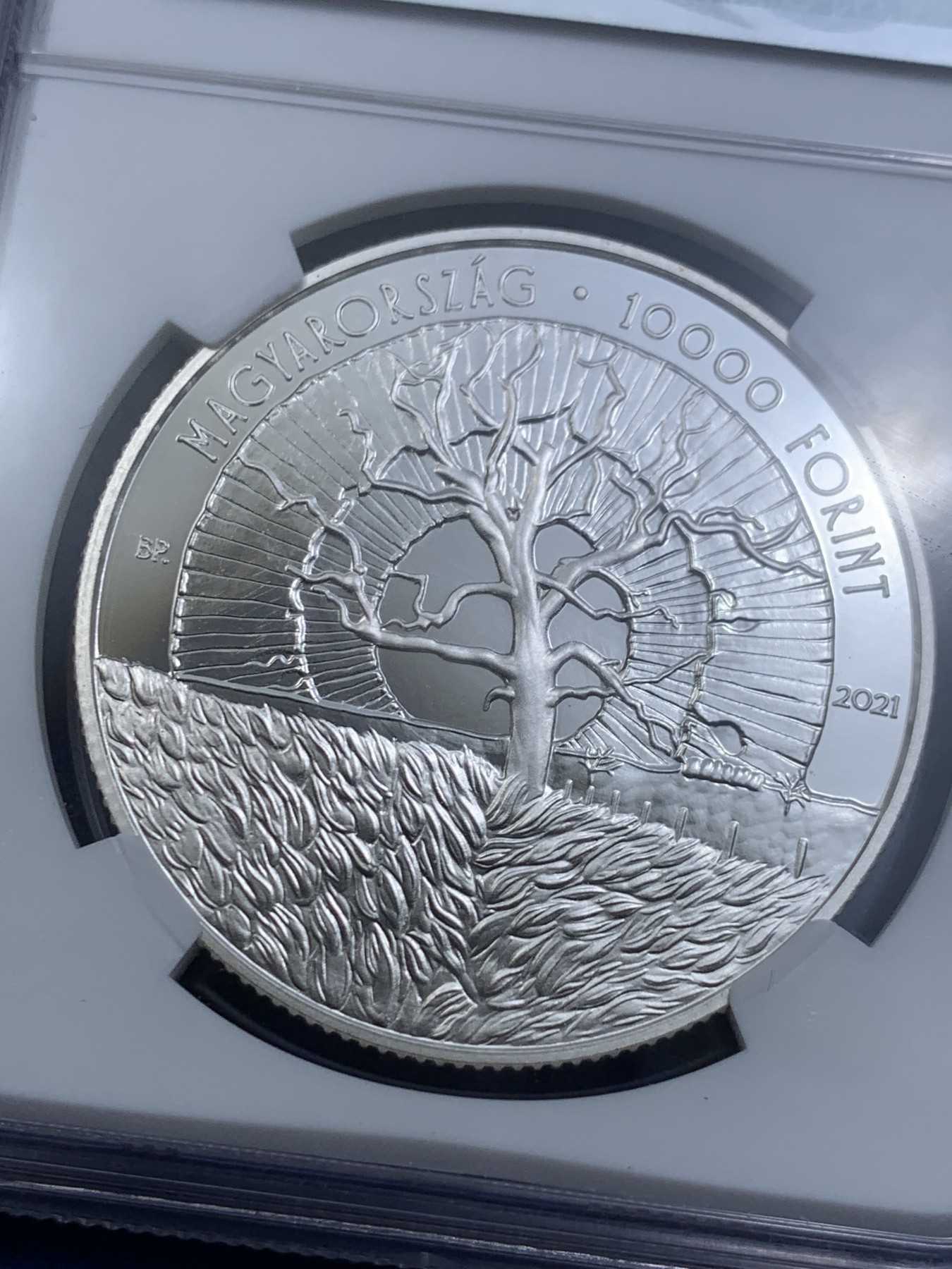 《竞宝斋》第263场-周日，周一 2场连拍 (全场包邮) NGC PF69UC 匈牙利2021年发行亚诺什.皮林斯基诞辰百年10000福林银币（16届硬币之星获奖币-最佳艺术解决方案第一名，限量发行4000枚） NGC35周年标