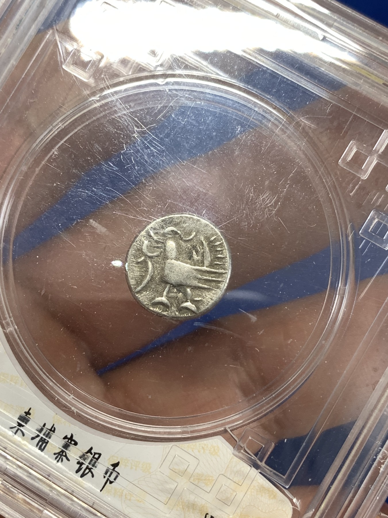 《竞宝斋》第263场-周日，周一 2场连拍 (全场包邮) 保粹 XF45 柬埔寨 神鸟 小银币