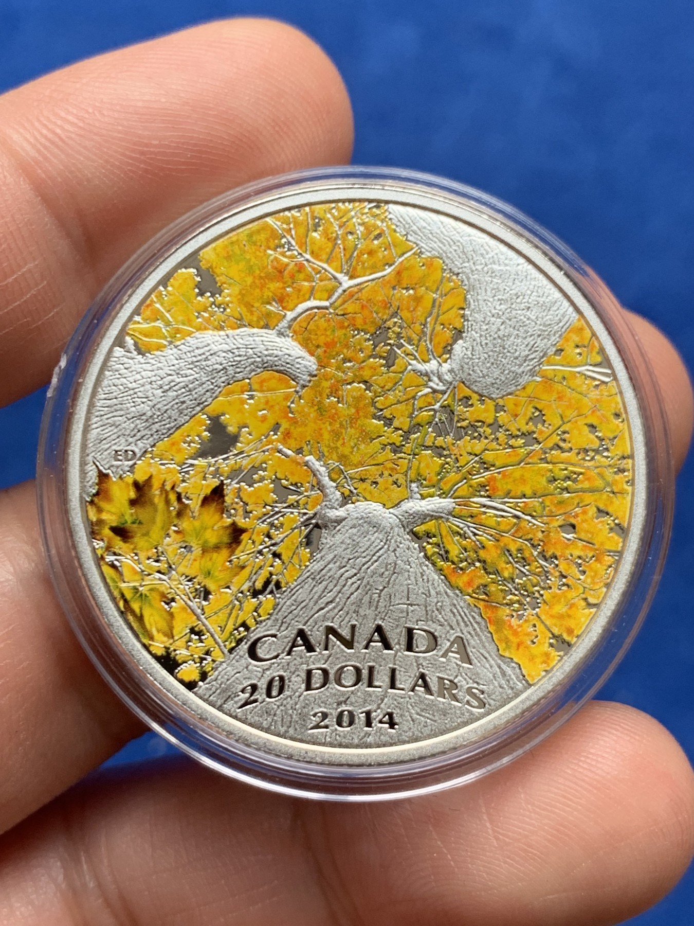 《竞宝斋》第263场-周日，周一 2场连拍 (全场包邮) 加拿大2014年发行的枫叶树冠系列4秋叶倾城彩银币-20加元（克劳斯获奖币-2016年最佳克朗币，裸币市价1200+） 1盎司999银 38mm 礼盒装