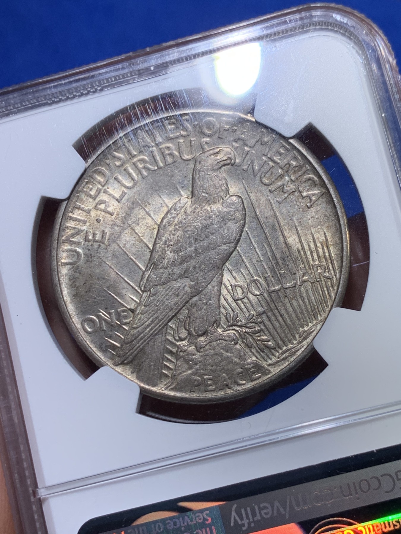 《竞宝斋》第263场-周日，周一 2场连拍 (全场包邮) NGC MS62 美国 1921年 和平鸽银币 首年高浮雕 和平币中的大名誉品 1921年12月28日投产 总共生产100万枚 美系流通币中铸币量算很少了