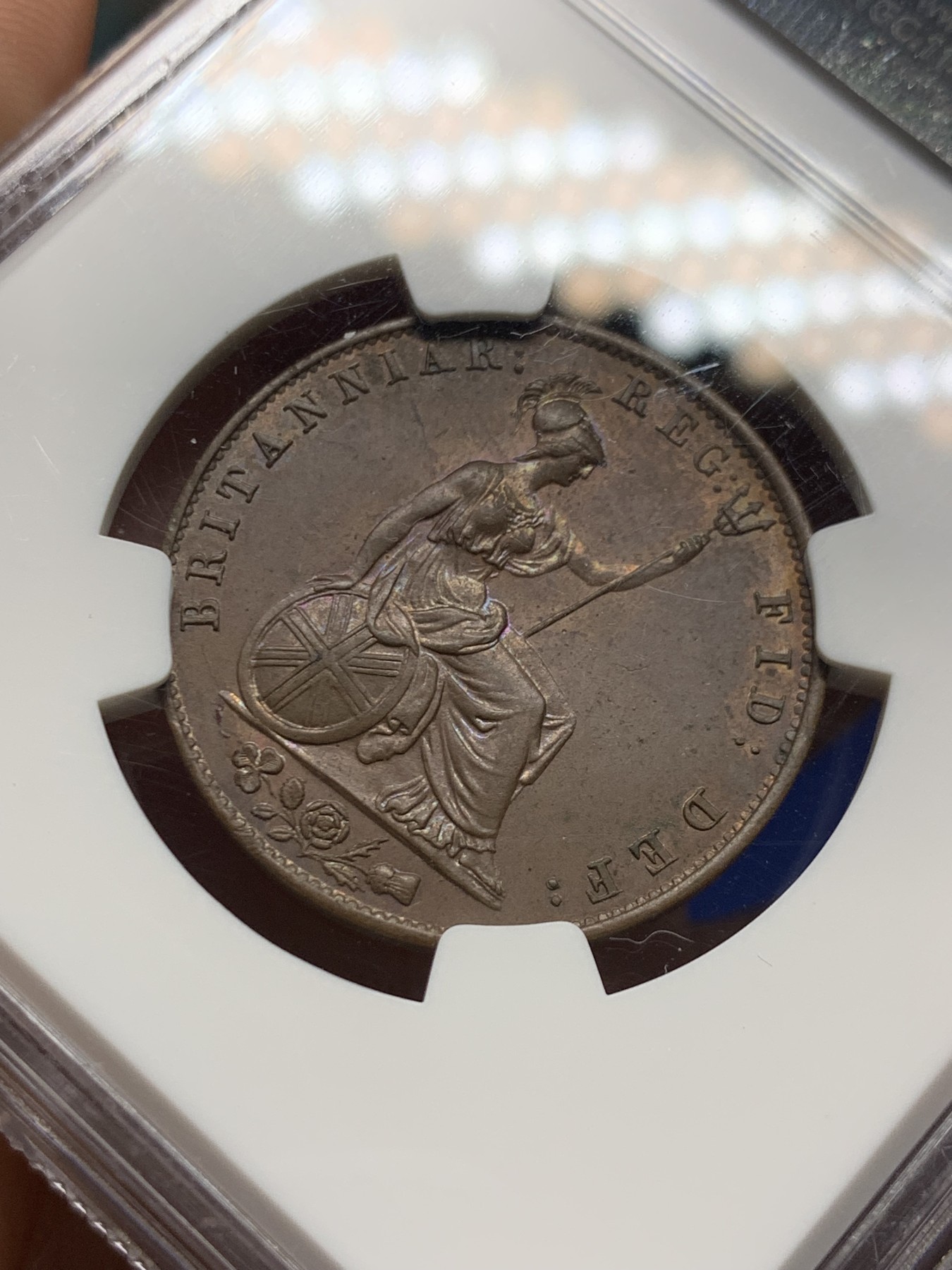 《竞宝斋》第263场-周日，周一 2场连拍 (全场包邮) NGC MS63BN 英国1841年维多利亚1/2便士铜币，小维早期年份。状态极佳的一颗，中心部位铜光犹存，小维发丝女神胸口状态犀利，观感不输64。老盒严评