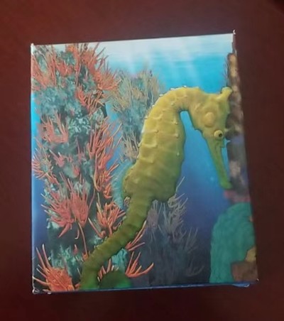 【币将精彩】世界钱币拍卖拍卖（2026-5-6） 澳大利亚2010年“海马”彩色银币  面值50分，999银1/2盎司，直径36.6毫米，发行量10000枚，原盒证书。