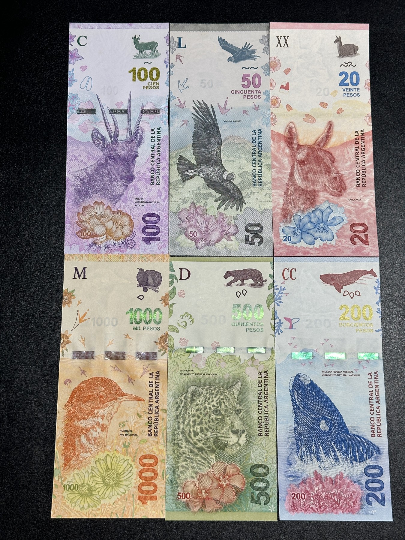 《外钞收藏家》第三百六十五期（连拍第二场） 阿根廷20-1000比索 一套6张 全新UNC