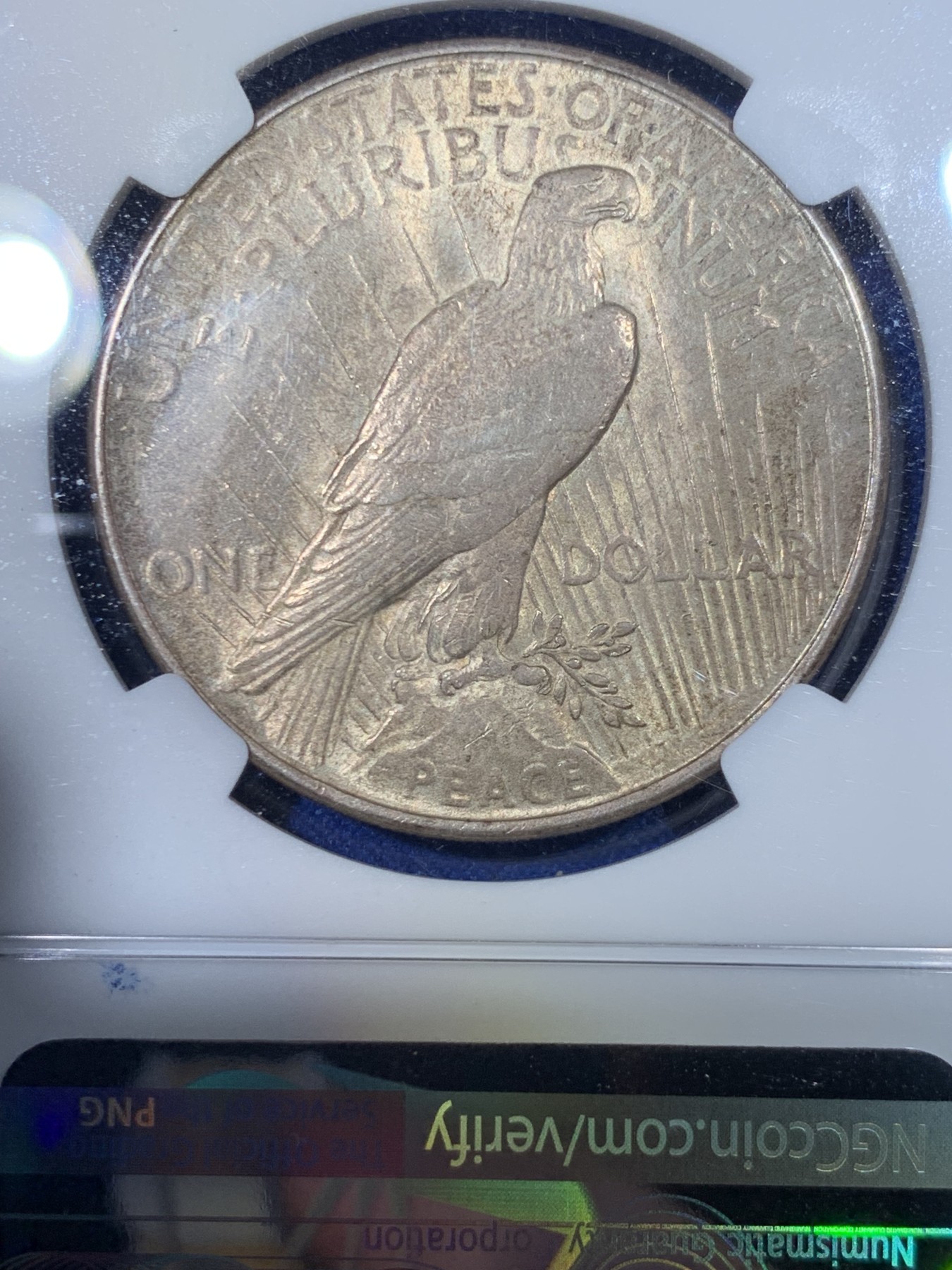《竞宝斋》第263场-周日，周一 2场连拍 (全场包邮) NGC MS63 美国 1922年 1美元 和平银币 大银币 包浆醇厚有转光