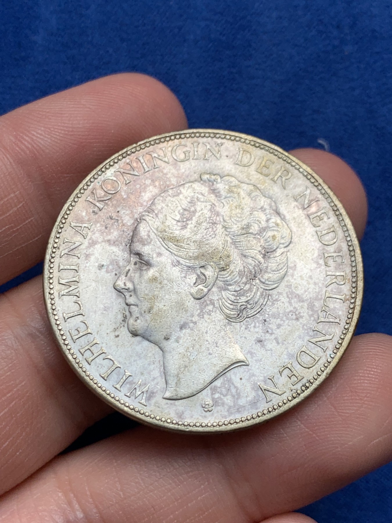 《竞宝斋》第263场-周日，周一 2场连拍 (全场包邮) 荷兰1930年威廉明娜2.5盾大银币