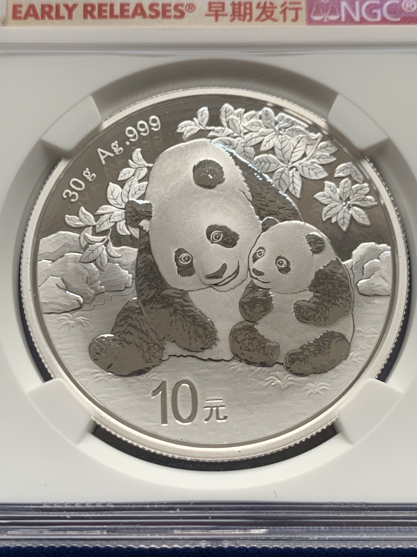 《竞宝斋》第263场-周日，周一 2场连拍 (全场包邮) NGC MS70 中国 2024年 10元 30克熊猫币 银币（含证书）