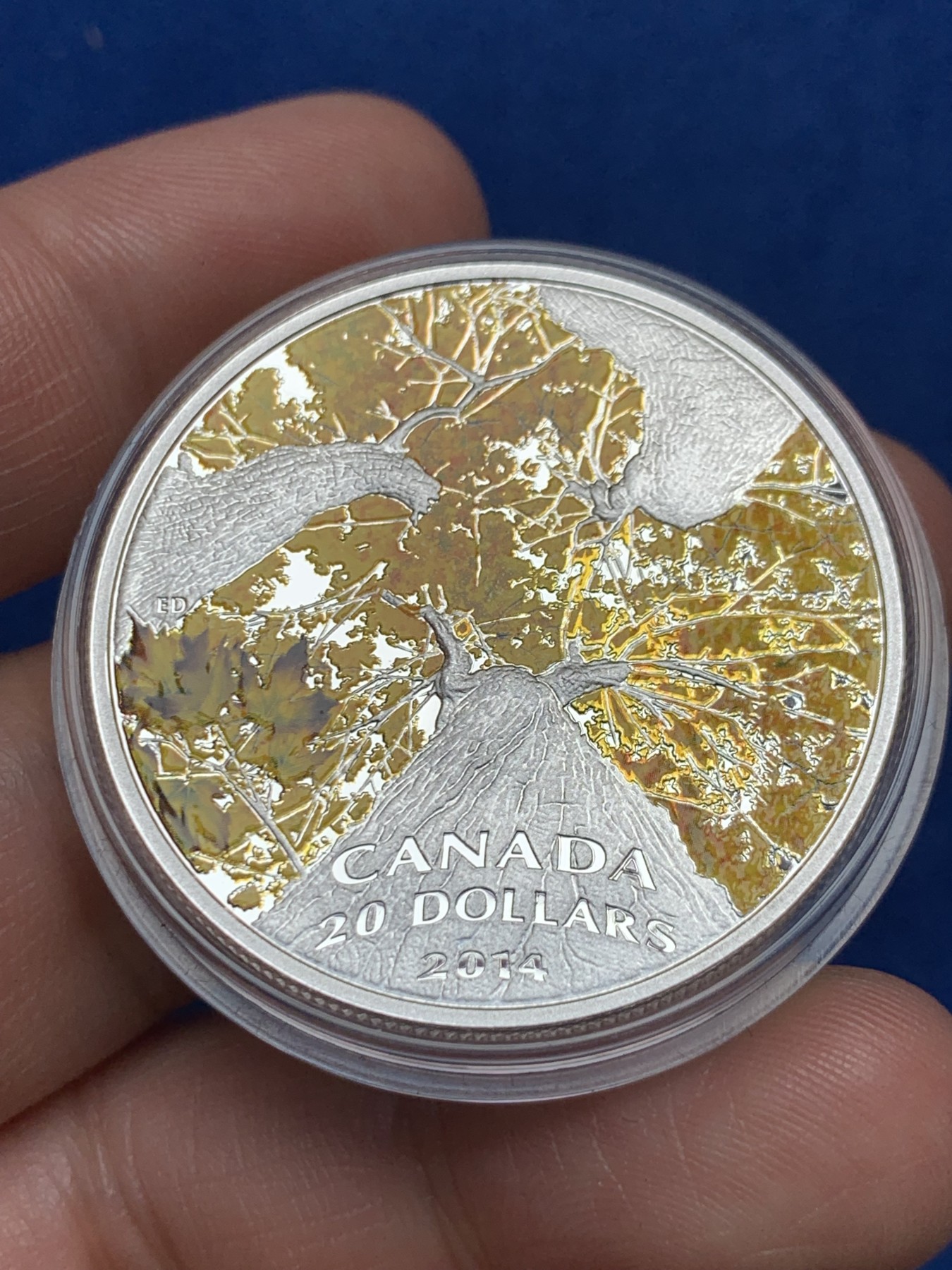 《竞宝斋》第263场-周日，周一 2场连拍 (全场包邮) 加拿大2014年发行的枫叶树冠系列4秋叶倾城彩银币-20加元（克劳斯获奖币-2016年最佳克朗币，裸币市价1200+） 1盎司999银 38mm 礼盒装