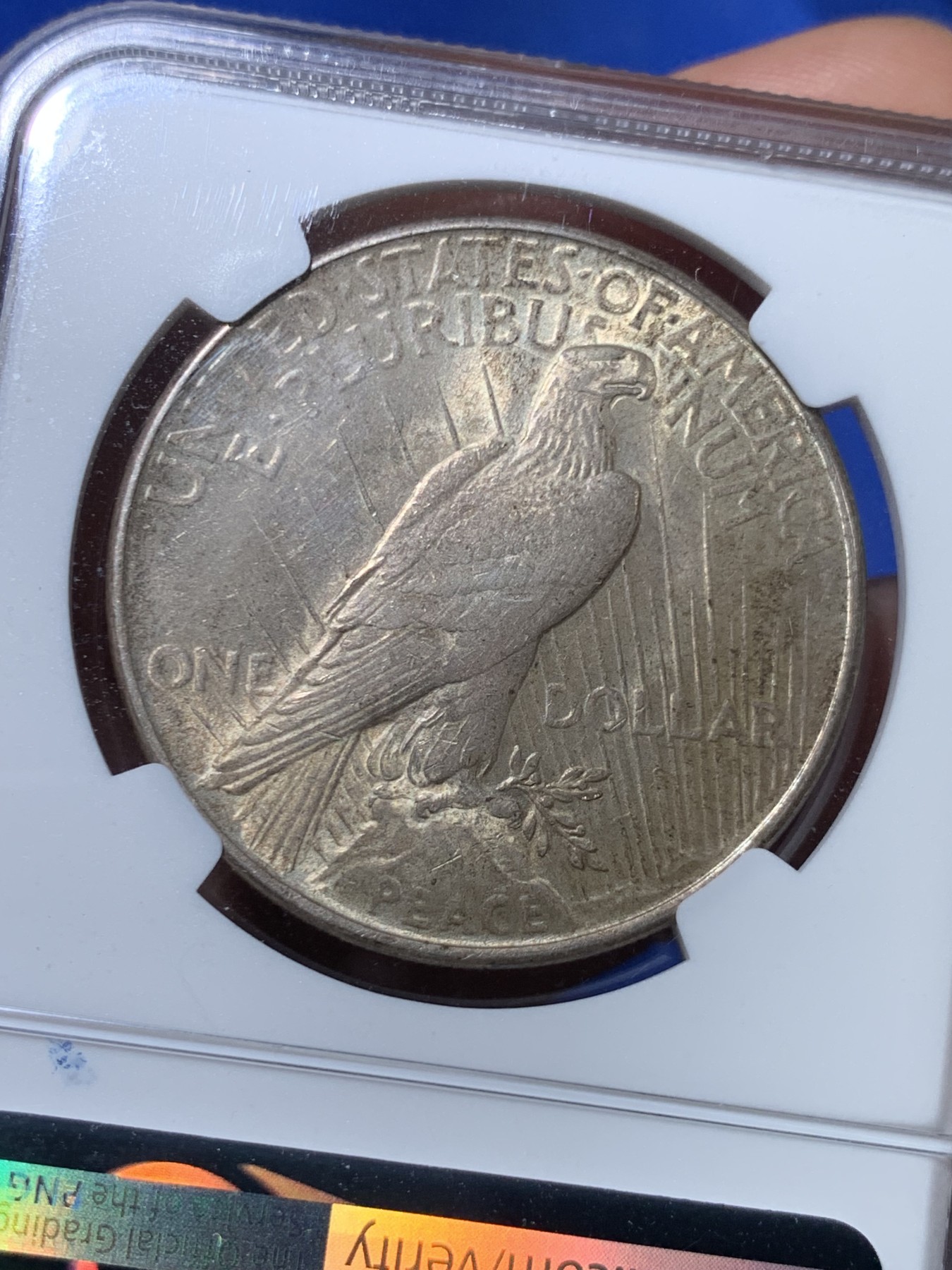 《竞宝斋》第263场-周日，周一 2场连拍 (全场包邮) NGC MS63 美国 1922年 1美元 和平银币 大银币 包浆醇厚有转光