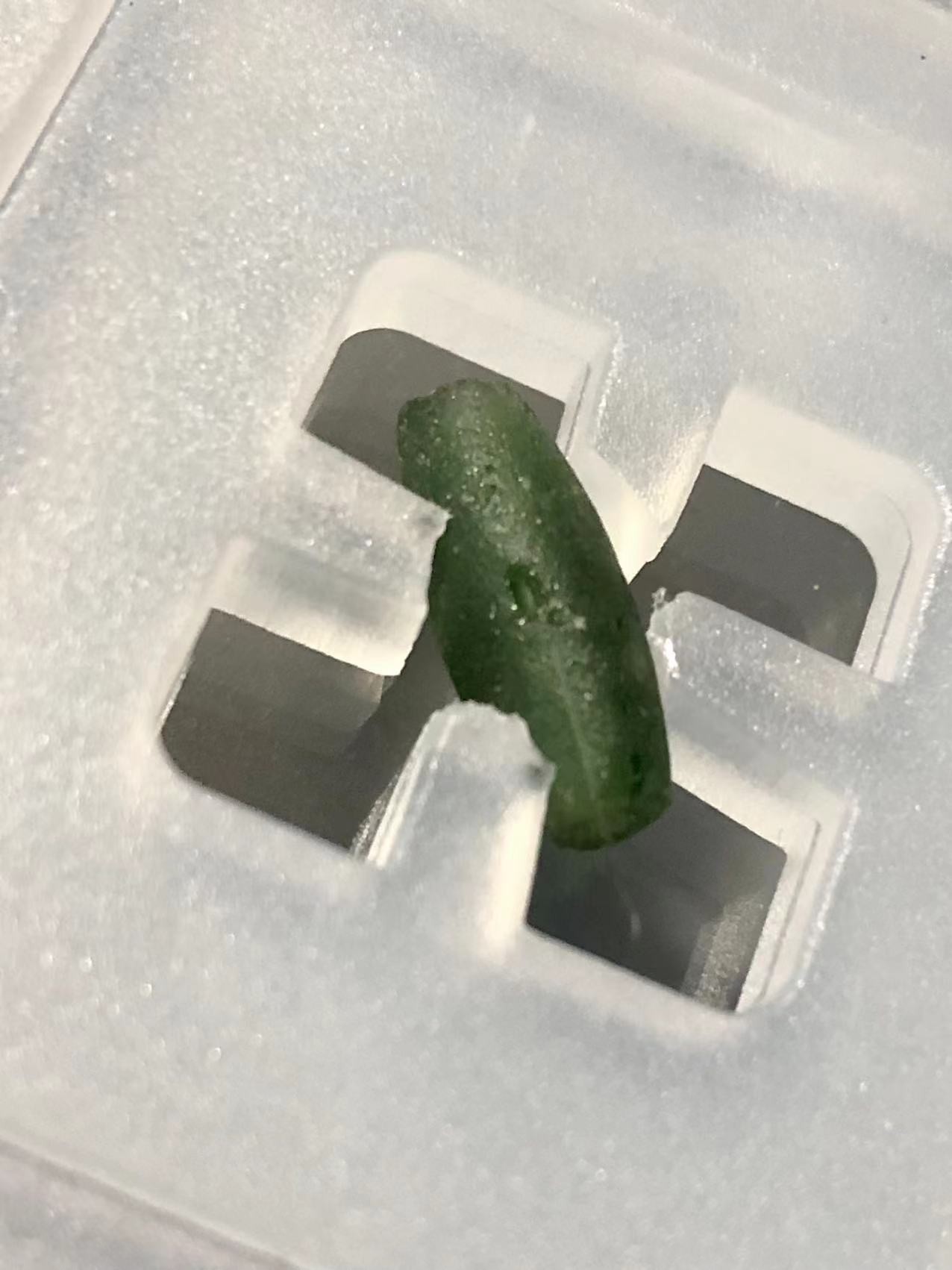 七河·世界钱币小拍