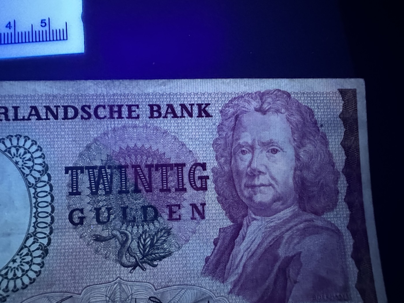 《外钞收藏家》第三百六十五期（连拍第二场）