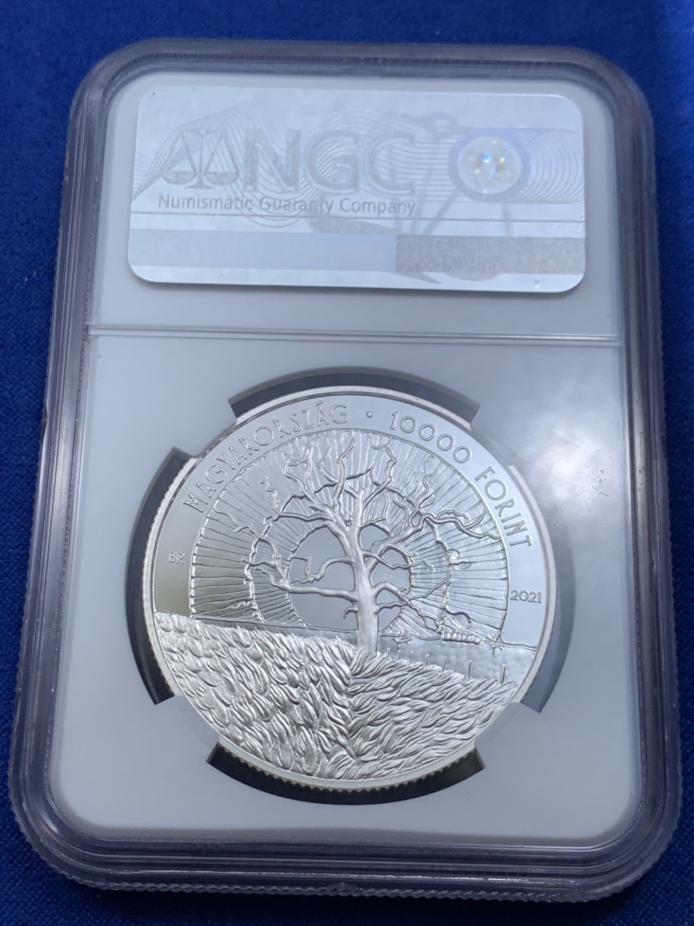 《竞宝斋》第263场-周日，周一 2场连拍 (全场包邮) NGC PF69UC 匈牙利2021年发行亚诺什.皮林斯基诞辰百年10000福林银币（16届硬币之星获奖币-最佳艺术解决方案第一名，限量发行4000枚） NGC35周年标
