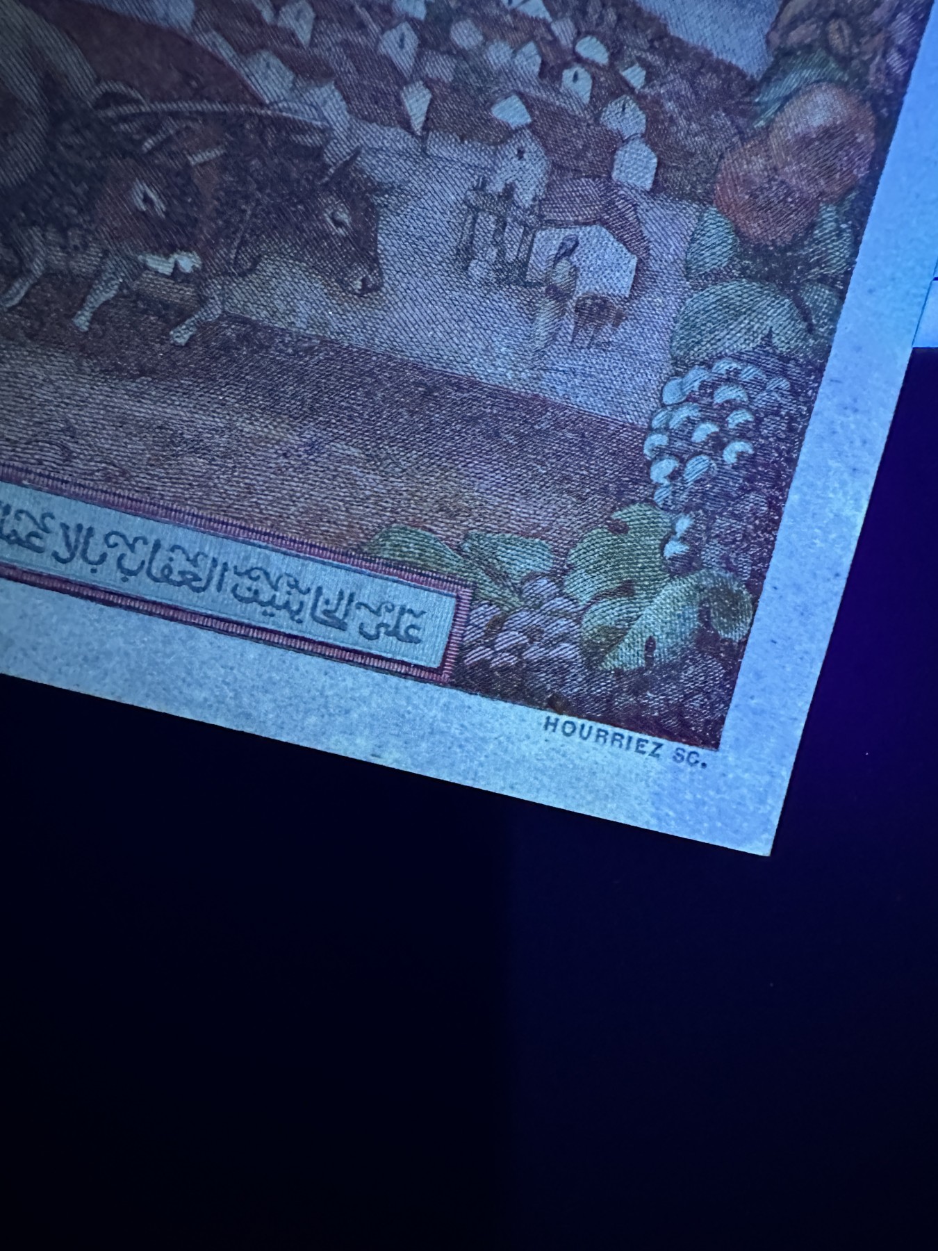 《外钞收藏家》第三百六十五期（连拍第二场）